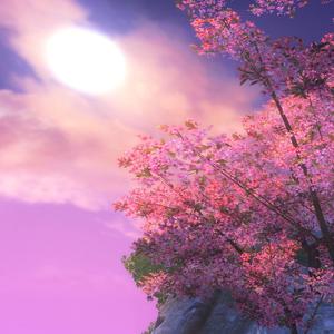 黑客家庭破解1000部
